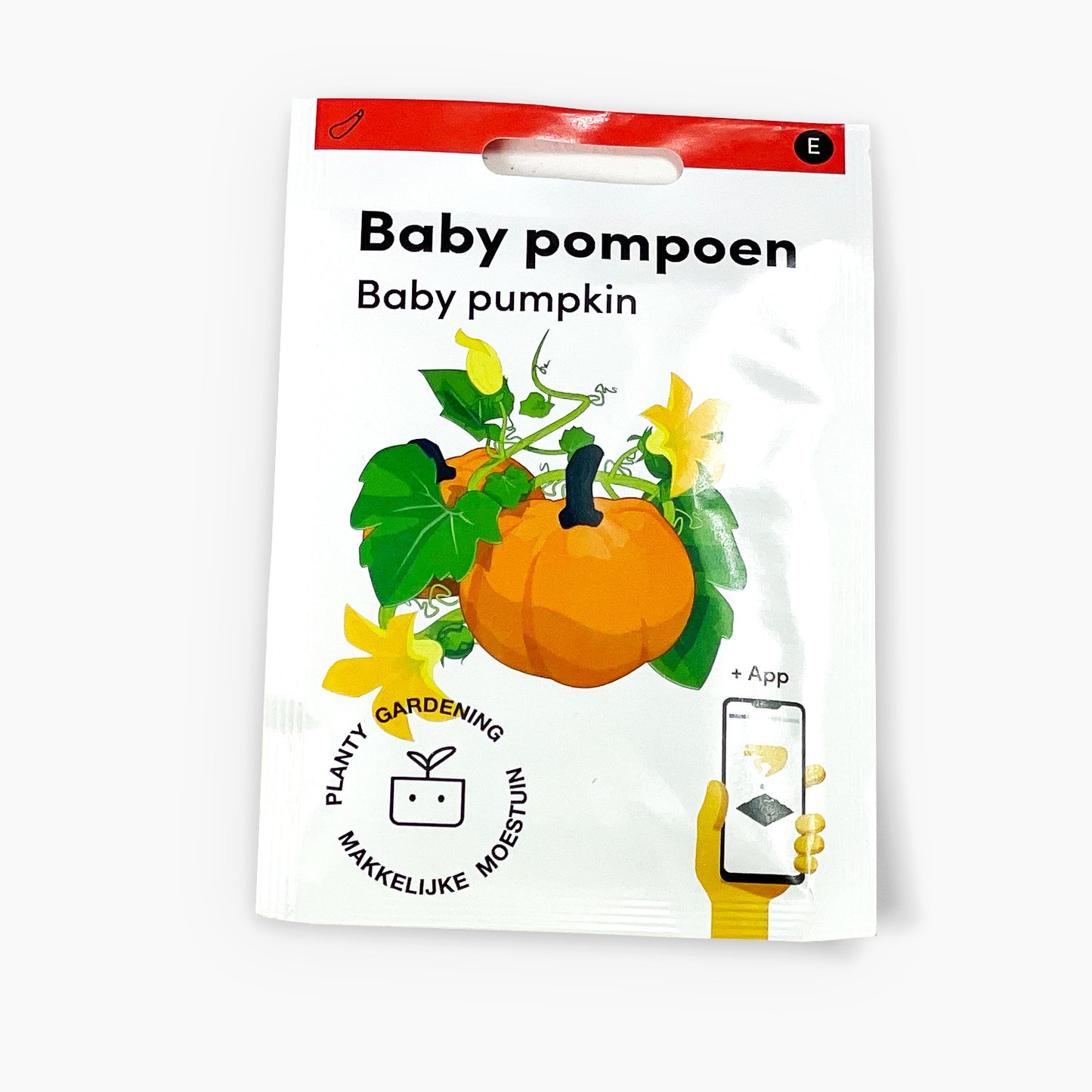 Baby pompoen