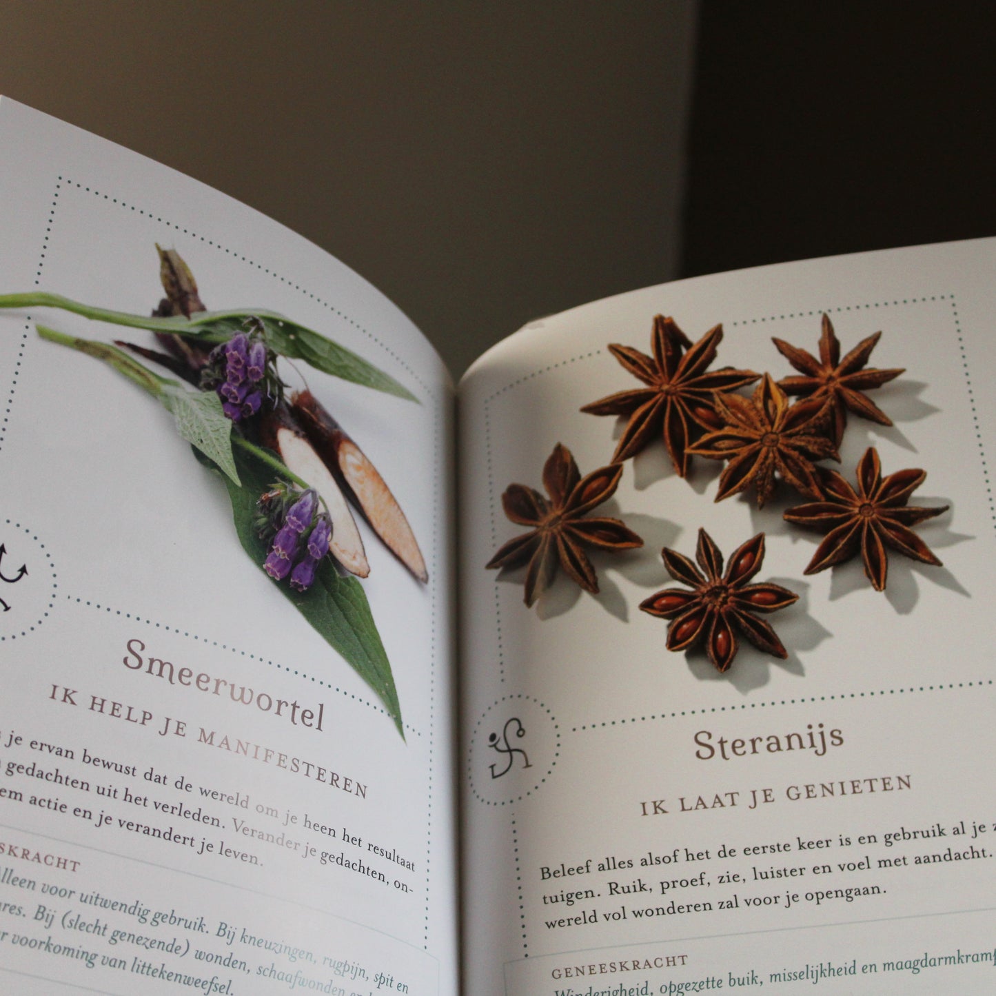 Boek - Kruiden Geneeskracht & Boodschap