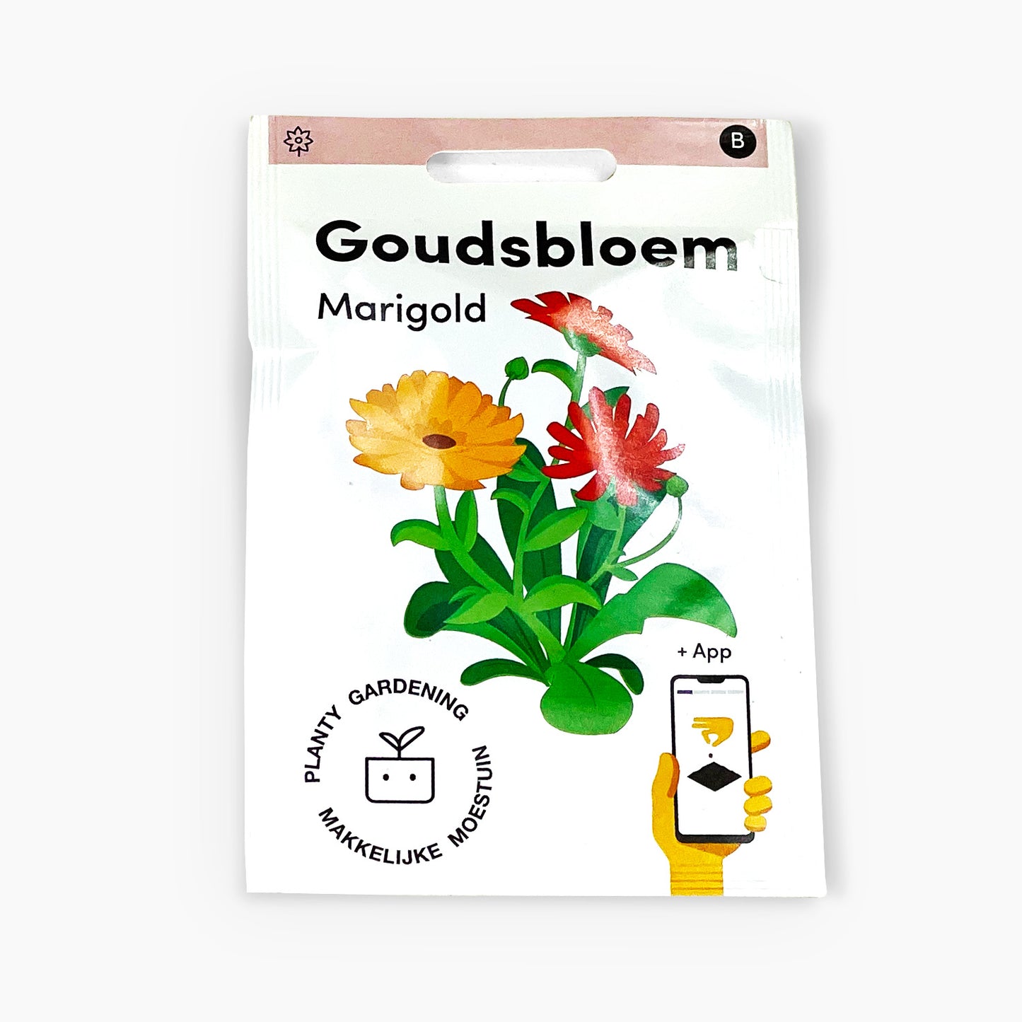 Goudsbloem