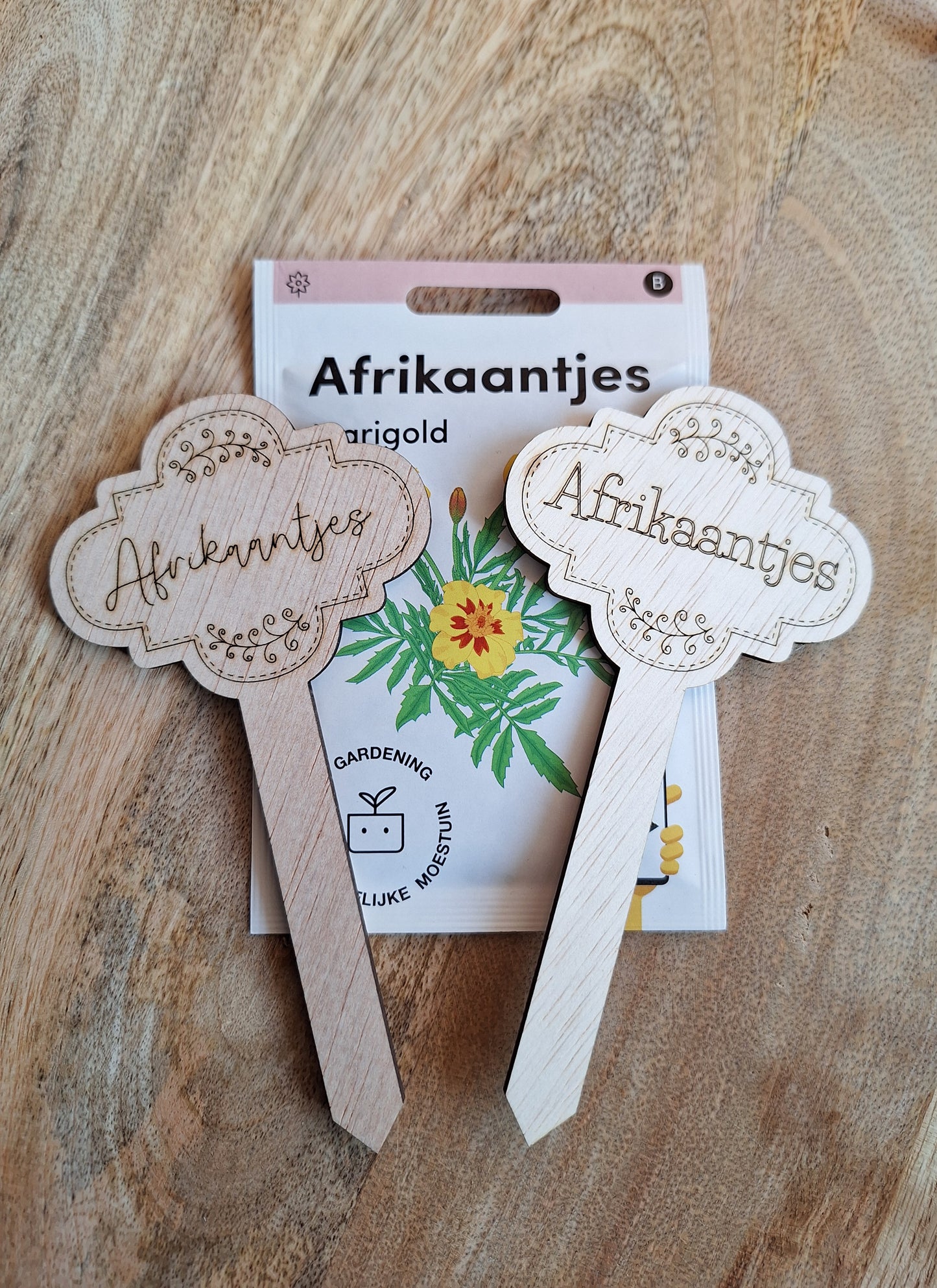 Houten plantensteker - Afrikaantjes