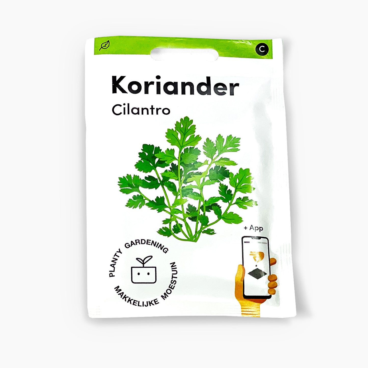 Koriander