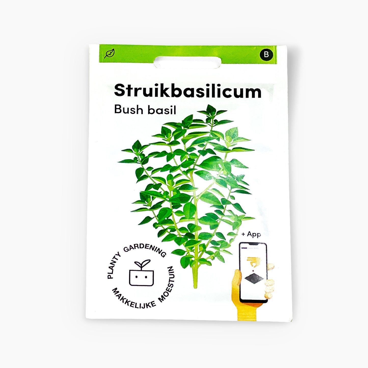 Struikbasilicum