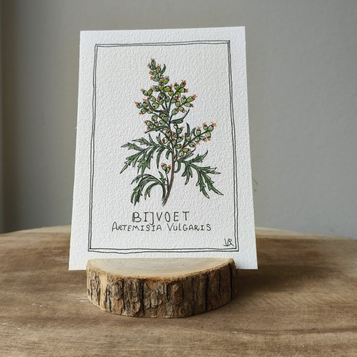 Bijvoet