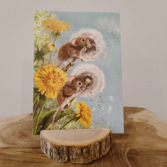 Dandelion fun