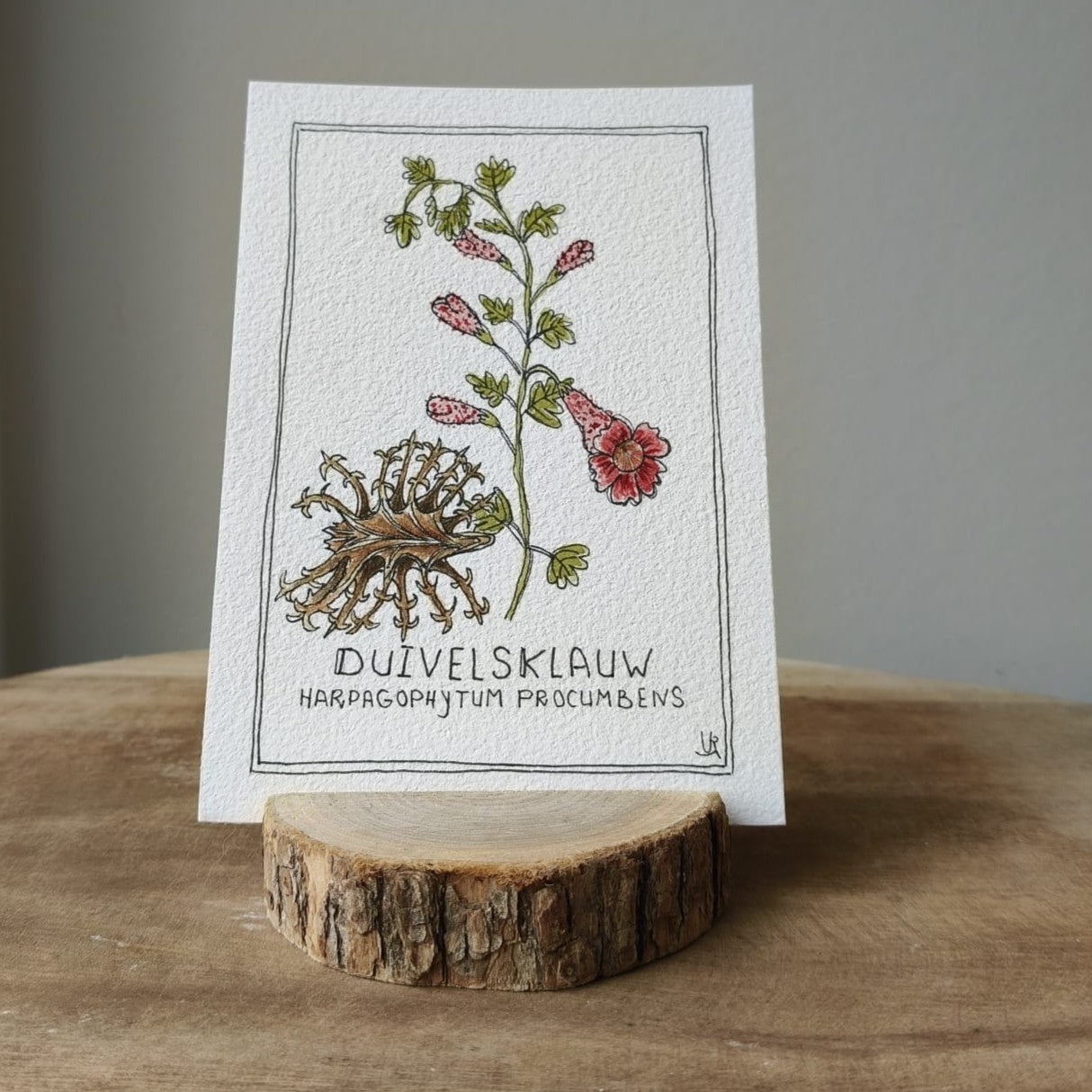 Duivelsklauw