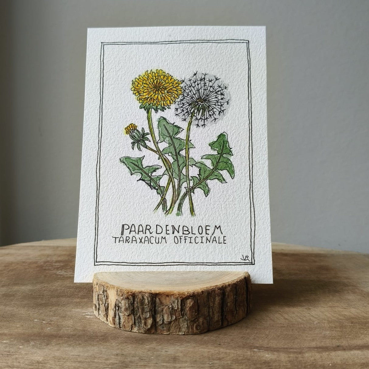 Paardenbloem