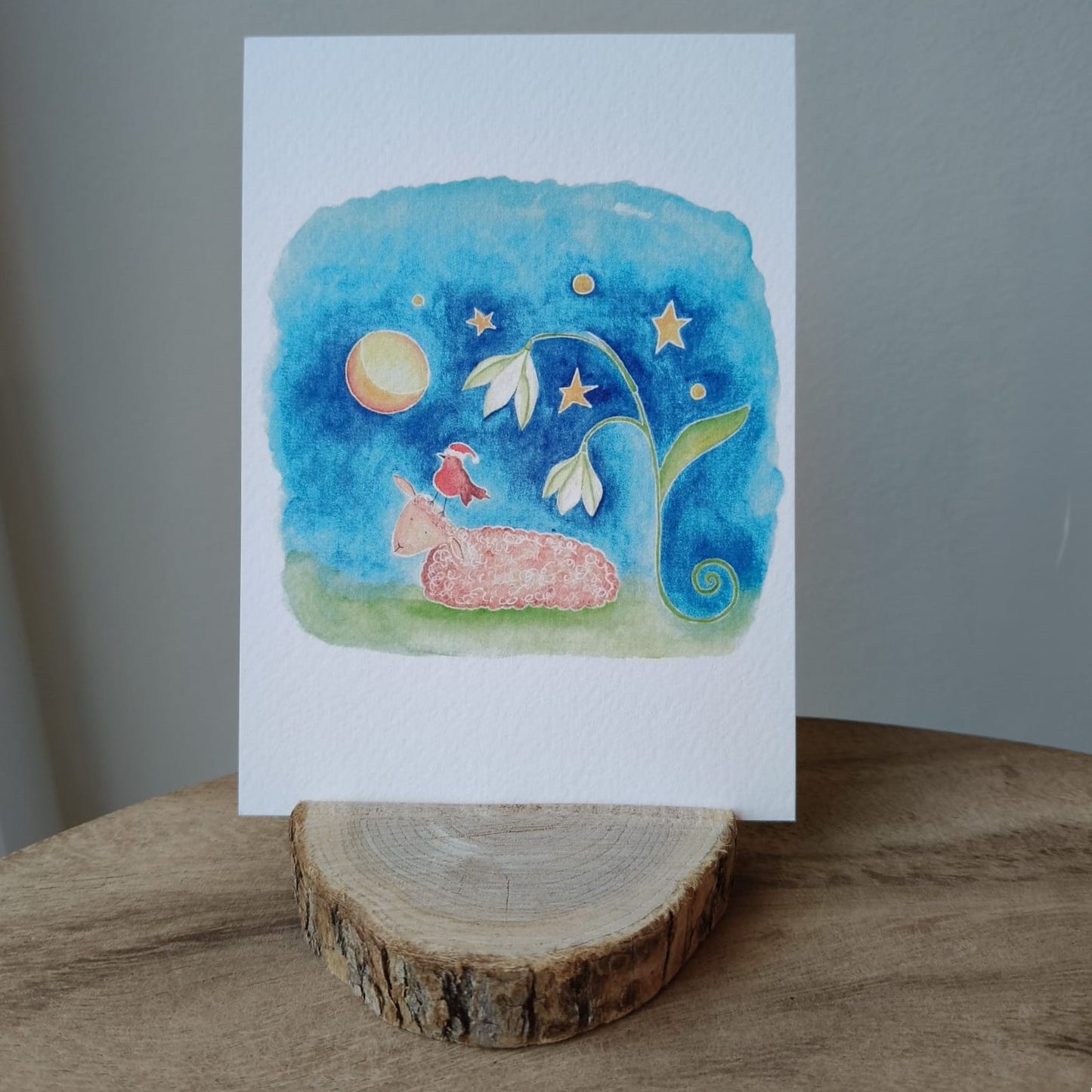 Roodborstje met kerstmuts