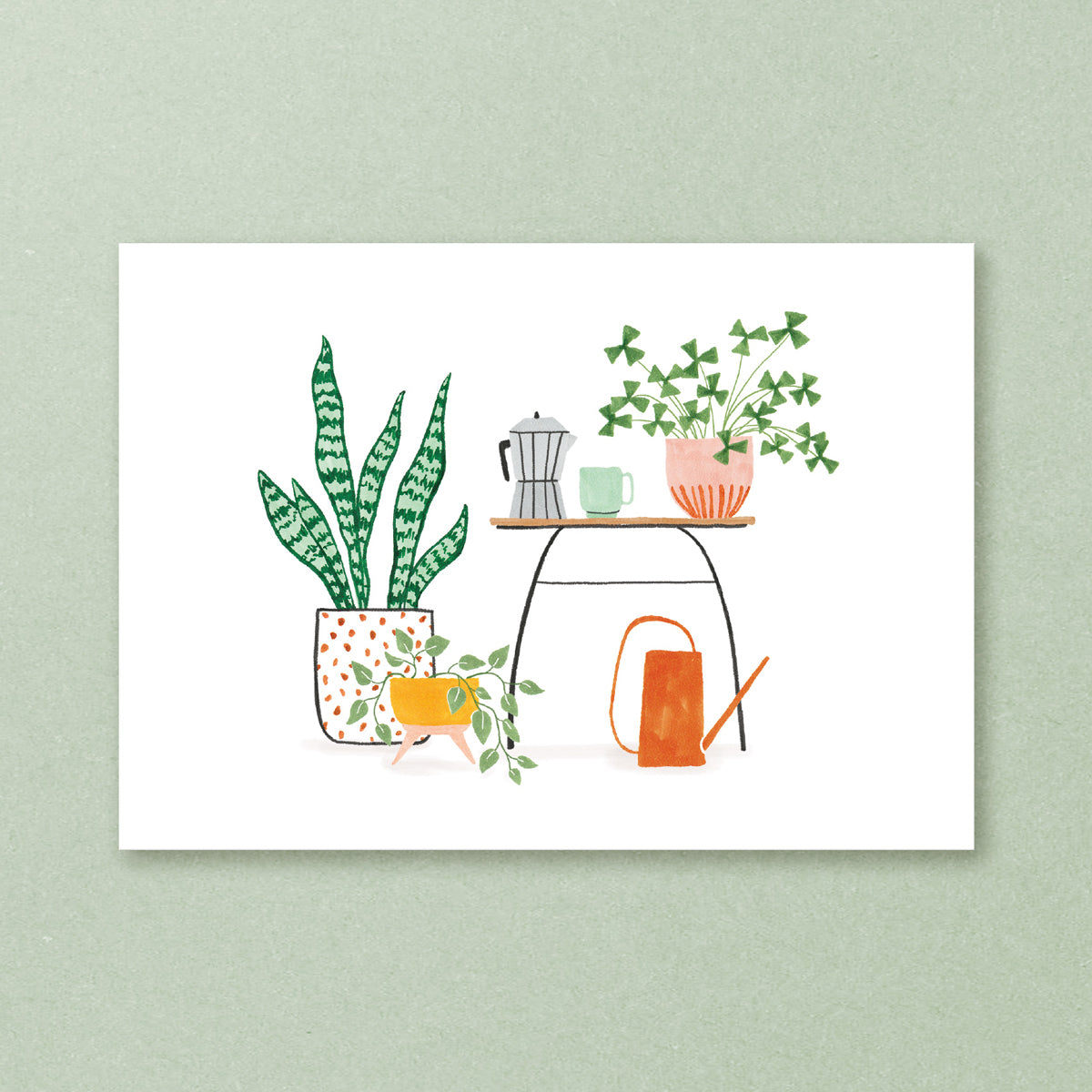 studiokuukeluus-plantenenkoffie