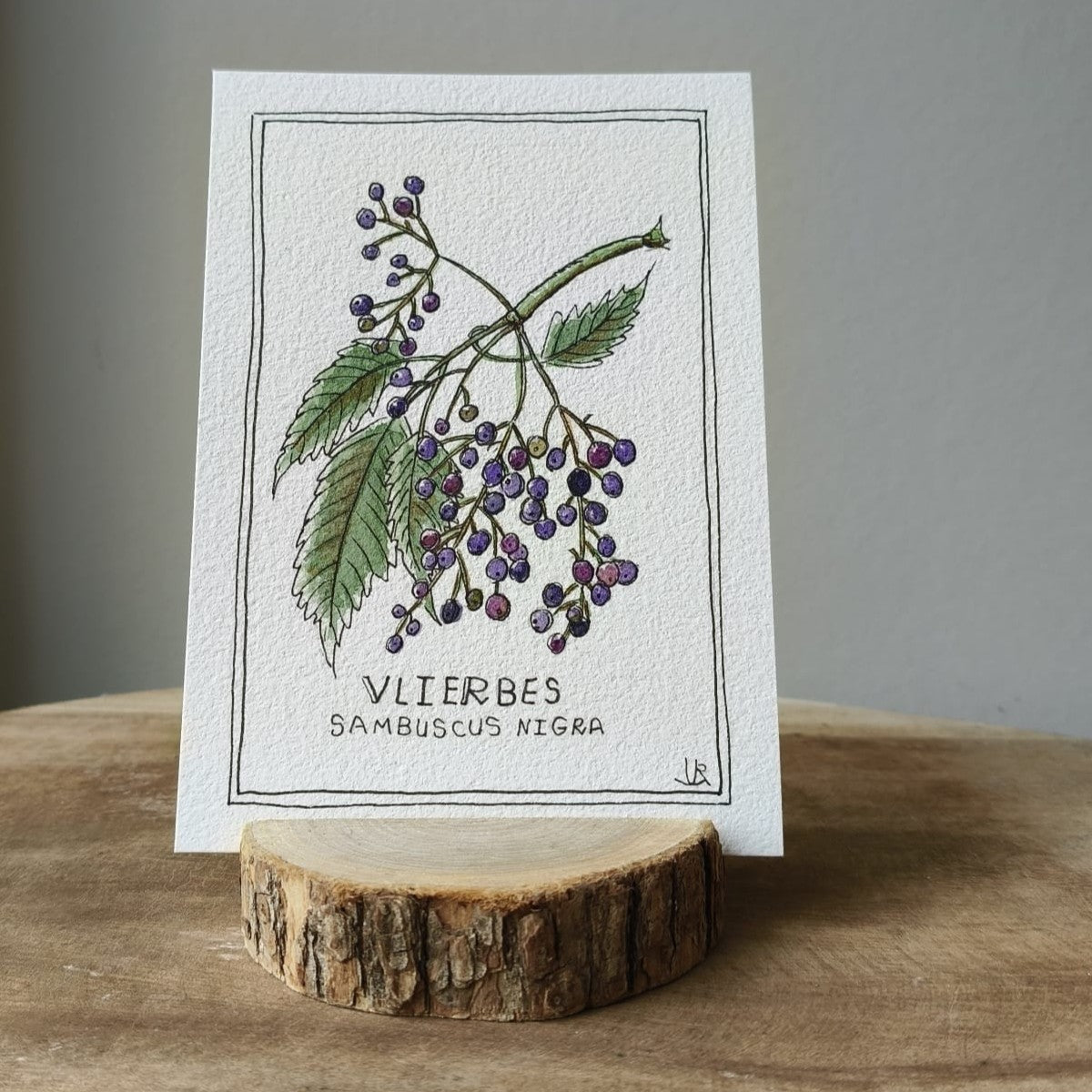 Vlierbes