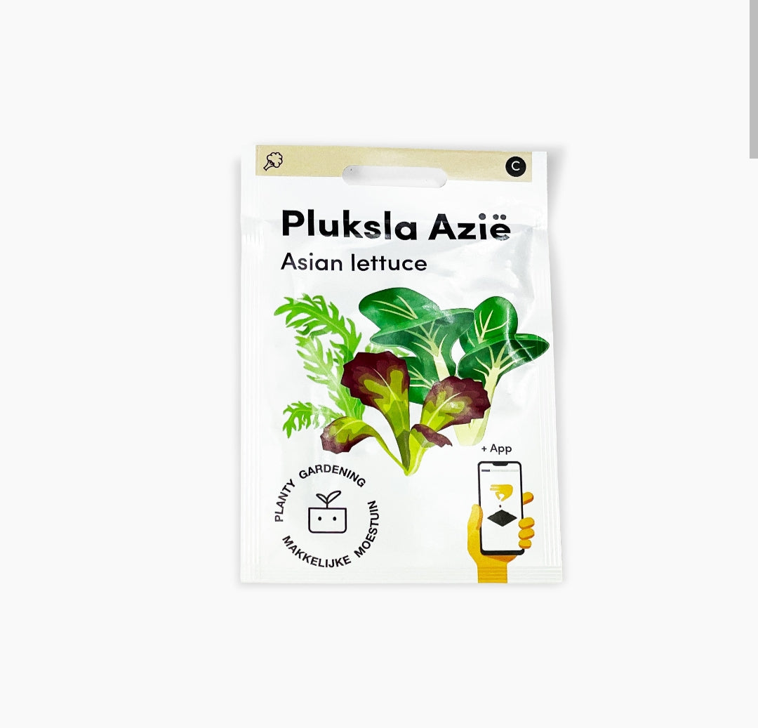 Pluksla Azië
