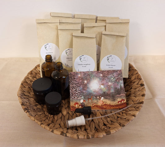 Startpakket jaaropleiding 4: Week 31 t/m 40